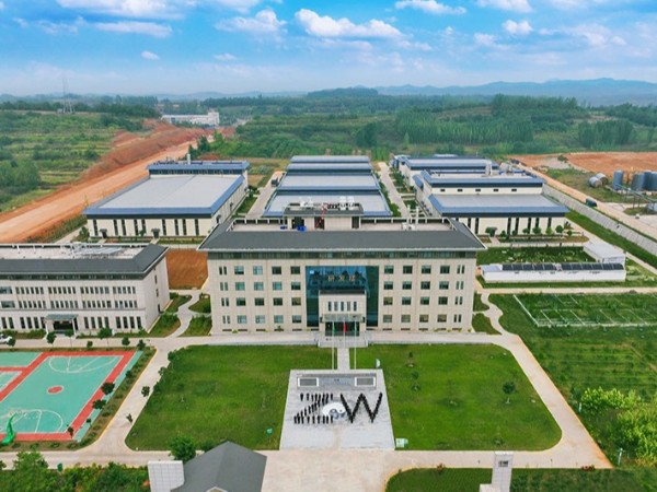 2024半年度啟動(dòng)會團(tuán)隊(duì)造型